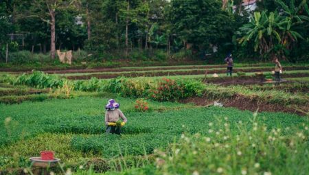 [DETAYLI] Kentsel Dönüşüm Başvurusu Nasıl Yapılır?